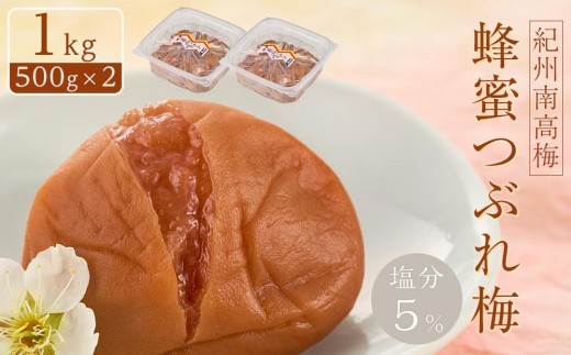 紀州南高梅 蜂蜜つぶれ梅 塩分5％ 1kg (500g×2) ［Kn22］｜紀州南高梅 紀州梅干 つぶれ梅 蜂蜜梅 梅干し 塩分控えめ 低塩梅干 伝統食品 日本の味 健康食品 ご飯のお供 お茶漬け 梅酒材料 お弁当 梅料理 プレゼント 食品ギフト【梅干し umeboshi ウメボシ 梅干し うめぼし 梅干】