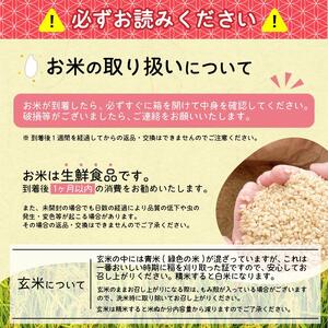 《減農薬栽培》玄米食べ比べ セット 「つや姫 3kg×1・はえぬき 3kg×2」2025年産 (令和7年産)【2025年10月頃より発送予定】　026-C-JF008
