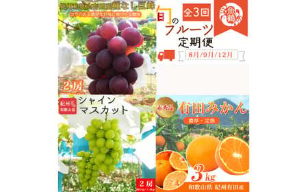 【全3回定期便】紀州和歌山産旬のフルーツセット(巨峰・シャイン・みかん) / 果物定期便 フルーツ定期便 みかん オレンジ 柑橘 くだもの 果物 シャイン マスカット ぶどう 巨峰 【tkb398】
