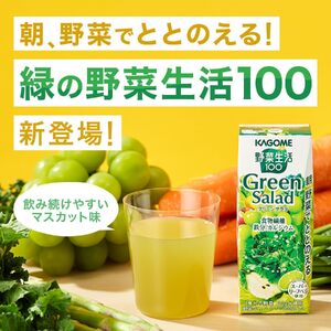 【定期便5ヶ月連続お届け】カゴメ 野菜生活100 グリーンサラダ 200ml 48本 野菜ジュース 果実ミックスジュース 紙パック