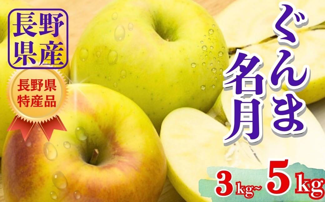 
                  【2026年先行予約】ぐんま名月 約3kg / 約5kg | 林檎 リンゴ アップル 果物 くだもの フルーツ ぐんまめいげつ 群馬名月 お取り寄せ 産地直送 長野県産 信州林檎 信州りんご 信州 長野 千曲市
                