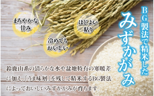 【先行予約】【令和8年産新米早期予約　毎月定期配送・計3回】 BG無洗米みずかがみ5kg×3回 [F-00406] / 滋賀県産 多賀町 みずかがみ 米 お米 こめ コメ 白米 ご飯 精米 5kg 袋