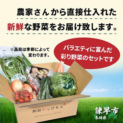 ふるさと納税 諫早市 【毎月定期便】諫早産野菜の詰め合わせ(8〜9品目)全3回 |  | 01
