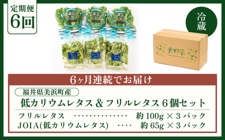 定期便 ≪6ヶ月連続お届け≫ 低カリウムレタス&フリルレタス　計6個セット 全6回 【福井県美浜町産】【野菜 生野菜 レタス サラダ サンドイッチ お弁当 水耕栽培 洗わず食べられる 時短 付け合わせ