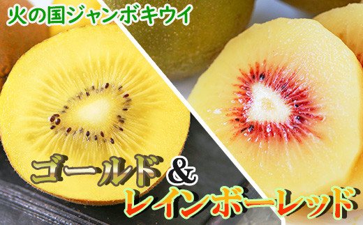 
火の国ジャンボキウイ《ゴールド&レッド詰合せ》 【大玉・完熟】 濃厚な味わいの品種2種セット
