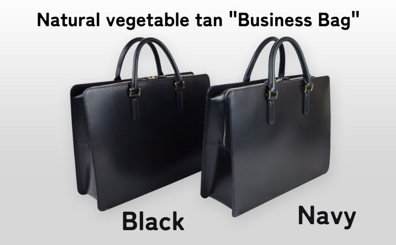 Business Bag Navy