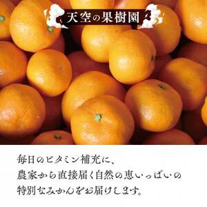 【天空の果樹園】そらみかん (5kg)【C45-68】【1339405】
