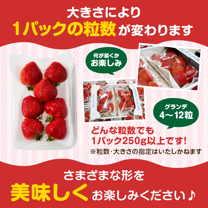 【先行受付：2027年2月発送開始】博多あまおうＧ250g×10パック｜JAふくおか八女 あまおう いちご 苺 イチゴ フルーツ 果物 くだもの 人気 旬 福岡県産 大粒 アフター補償 数量限定 期間