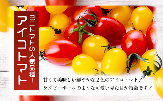 岩永さんちの カラフル ミニトマト | アイコ赤･黄MIX 1kg |【農林水産大臣賞受賞】有機肥料・化学肥料不使用 | 生産者直送 野菜 トマト 1kg とまと プチトマト サラダ やさい 旬 新鮮