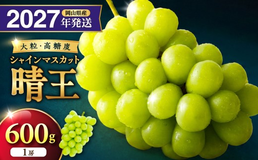 【2027年発送分・先行予約開始！】岡山県産シャインマスカット「晴王」　秀品　1房（約600g）（令和9年8月中旬以降発送）