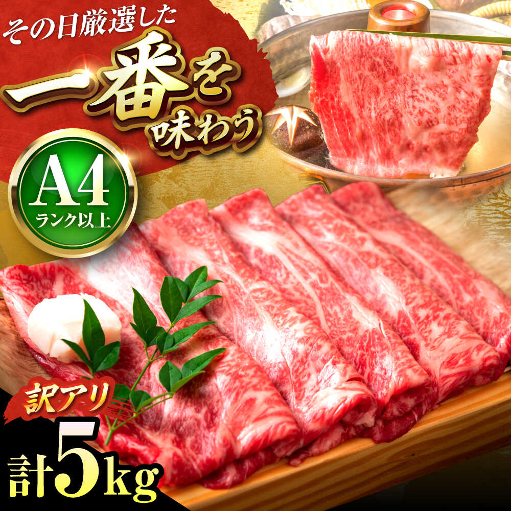 【ふるさと納税】【訳あり】【A4〜A5】 博多和牛 しゃぶしゃぶ すき焼き 5kg (500g×10P) 吉富町/株式会社MEAT PLUS[BGAB021] お肉 牛 肉 牛肉 黒毛和牛 和牛 国産 サーロイン しゃぶしゃぶ肉 すき焼き肉 すきやき 大容量 たっぷり 冷凍 訳あり 食品 人気 おすすめ 美味しい
