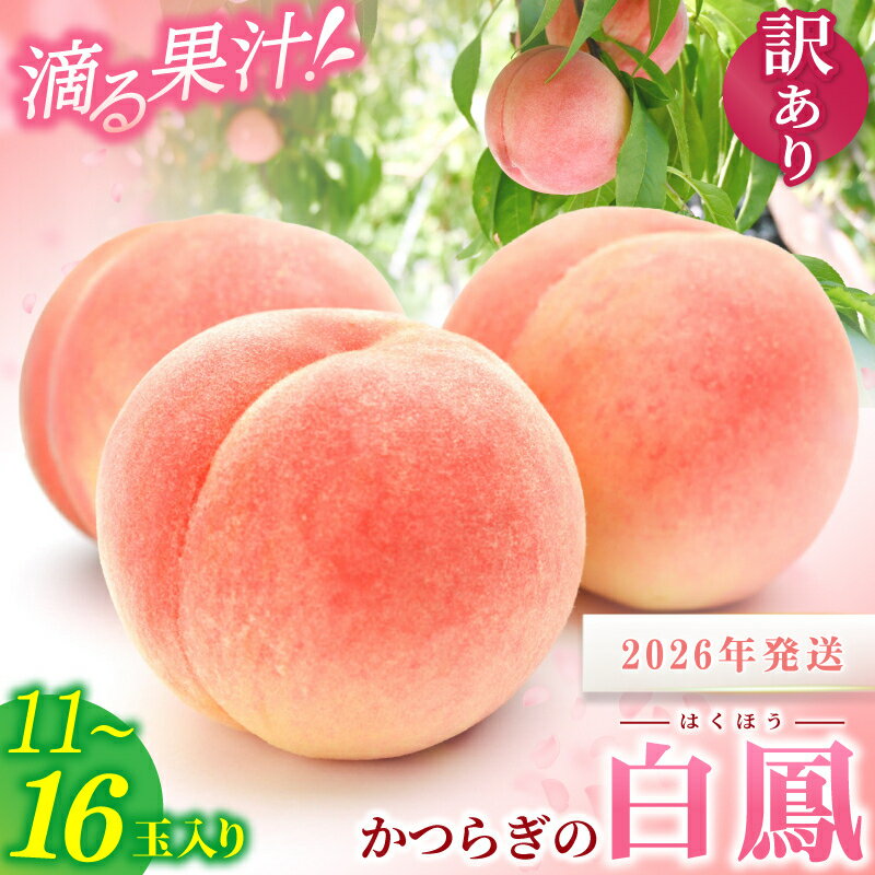 【ふるさと納税】 ☆2026年先行予約☆【訳あり・ご家庭用】 《数量限定》桃 和歌山県産 白鳳 11〜16玉 【2026年6月下旬から7月中旬ごろ発送】 桃 もも モモ 果物 くだもの フルーツ 先行予約 白鳳 人気 和歌山の桃 数量限定 お取り寄せ かつらぎ町 送料無料