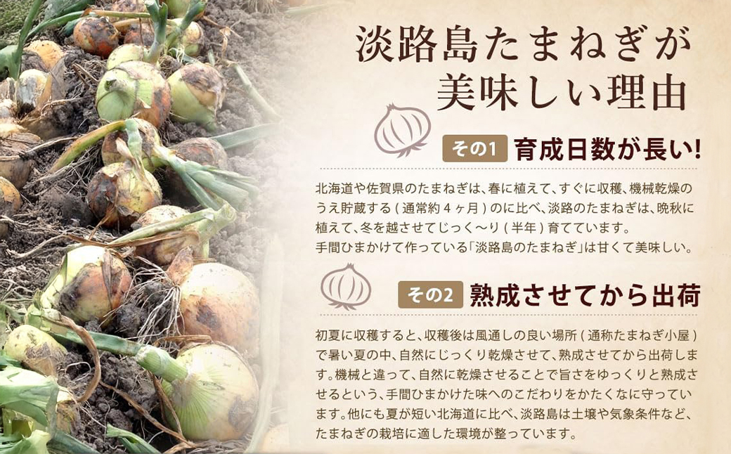 今井ファームの淡路島たまねぎ加工品福袋　《福袋 たまねぎスープ オニオンクーリムスープ 乾燥玉ねぎ ビーフカレー だしパック》