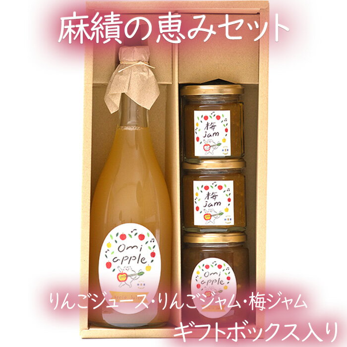 【ふるさと納税】 【若手生産者応援】麻績の恵みセット りんご加工品 伊藤 快 りんごの ジュース ジャム 詰め合せセット 果物 りんご 梅 フルーツ 無添加 信州 麻績村