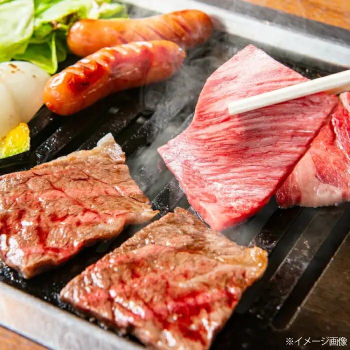 土佐黒毛和牛　ロース　焼き肉　約500g  / とろけるやわらかさ 和牛 高知県産 国産和牛 牛肉 黒毛和種  【（有）蔵多堂】[ATAE011]