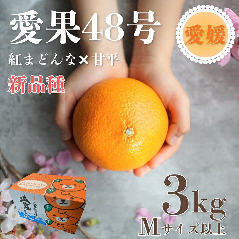 【ふるさと納税】【2027年先行予約】みかん 愛果48号 3kg Mサイズ以上（みきゃん箱）紅プリンセス同一品種【2027年3月下旬から順次発送予定】 数量限定 愛媛県産 人気 柑橘 フルーツ 国産 おすすめ 伊予市 愛媛｜B557