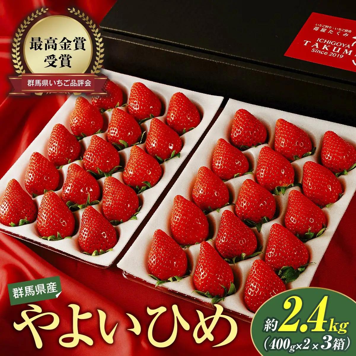 いちご やよいひめ400g×2 3箱 計2,400g いちご 群馬県 前橋市