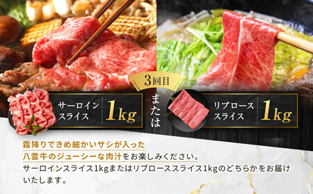【3ヶ月定期便】八雲牛 カルビ・ロース堪能｜ 定期便 定期便 定期便 定期便 定期便