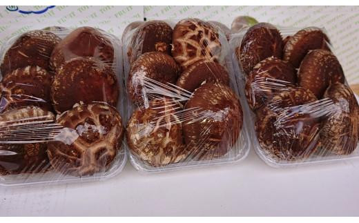 
                  大山山麓 原木しいたけ （ 200g × 3パック ）【きのこ キノコ シイタケ 椎茸 野菜 人気 おすすめ 鳥取県 琴浦町 送料無料】
                