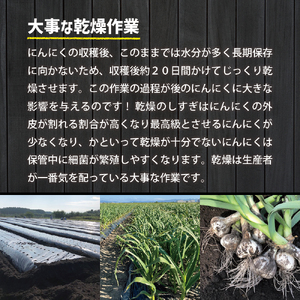 にんにく　上級品 Lサイズ 1kg 青森県産 五所川原市 ガーリック ホワイト6片種