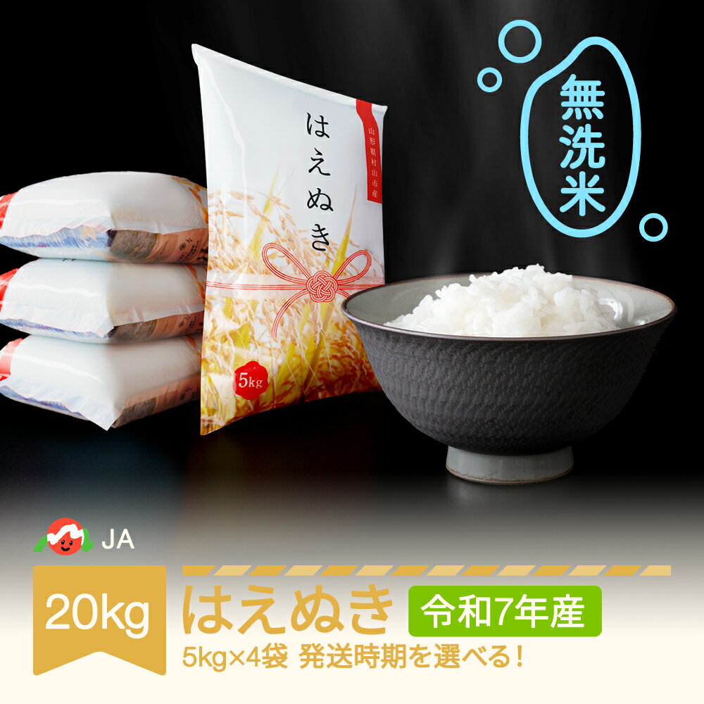 【ふるさと納税】 【先行予約】 新米 米 20kg 5kg×4 はえぬき 無洗米 令和7年産 山形県村山市産 送料無料※沖縄・離島への配送不可