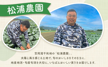 大玉 干拓 ブロッコリー 3Lサイズ 8〜10玉 松浦農園 【配送不可地域あり】（離島）《12月上旬-5月中旬頃出荷》 岡山県 笠岡市 野菜 青果物