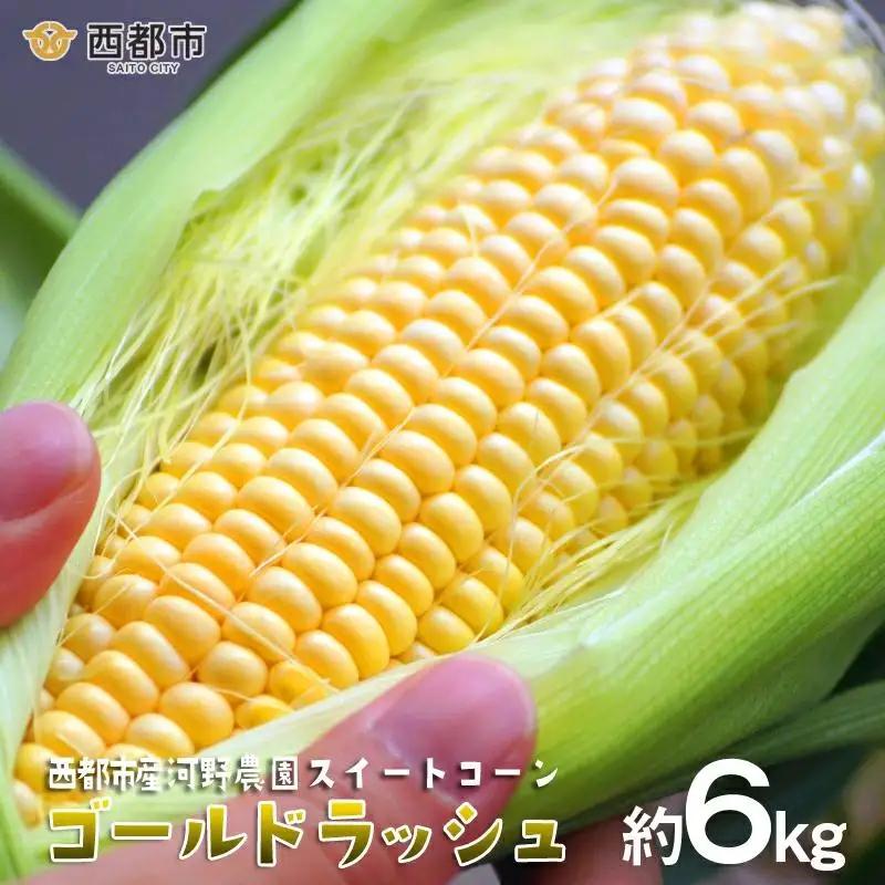 【先行予約】2027年発送 河野農園 朝どれスイートコーン『ゴールドラッシュ』約6kg＜23-1a＞とうもろこし トウモロコシ