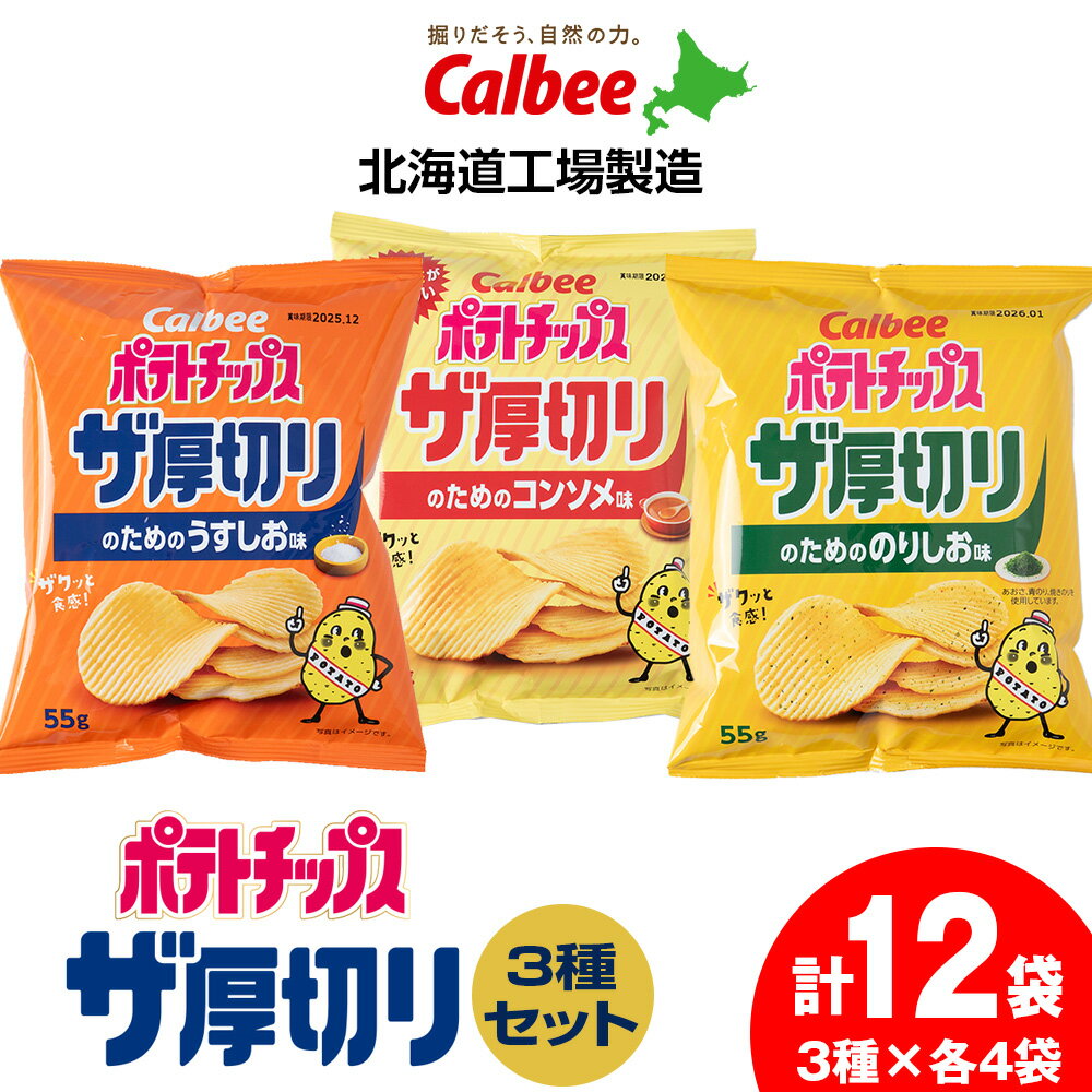 【ふるさと納税】ポテトチップスザ厚切りのための 3種セット うすしお味4袋 コンソメ4袋 のり塩味4袋 合計12袋 1箱 スナック お菓子 北海道 千歳 ポテチ ポテトチップス 北海道ふるさと納税 千歳市 ふるさと納税【北海道千歳市】 ギフト ふるさと納税