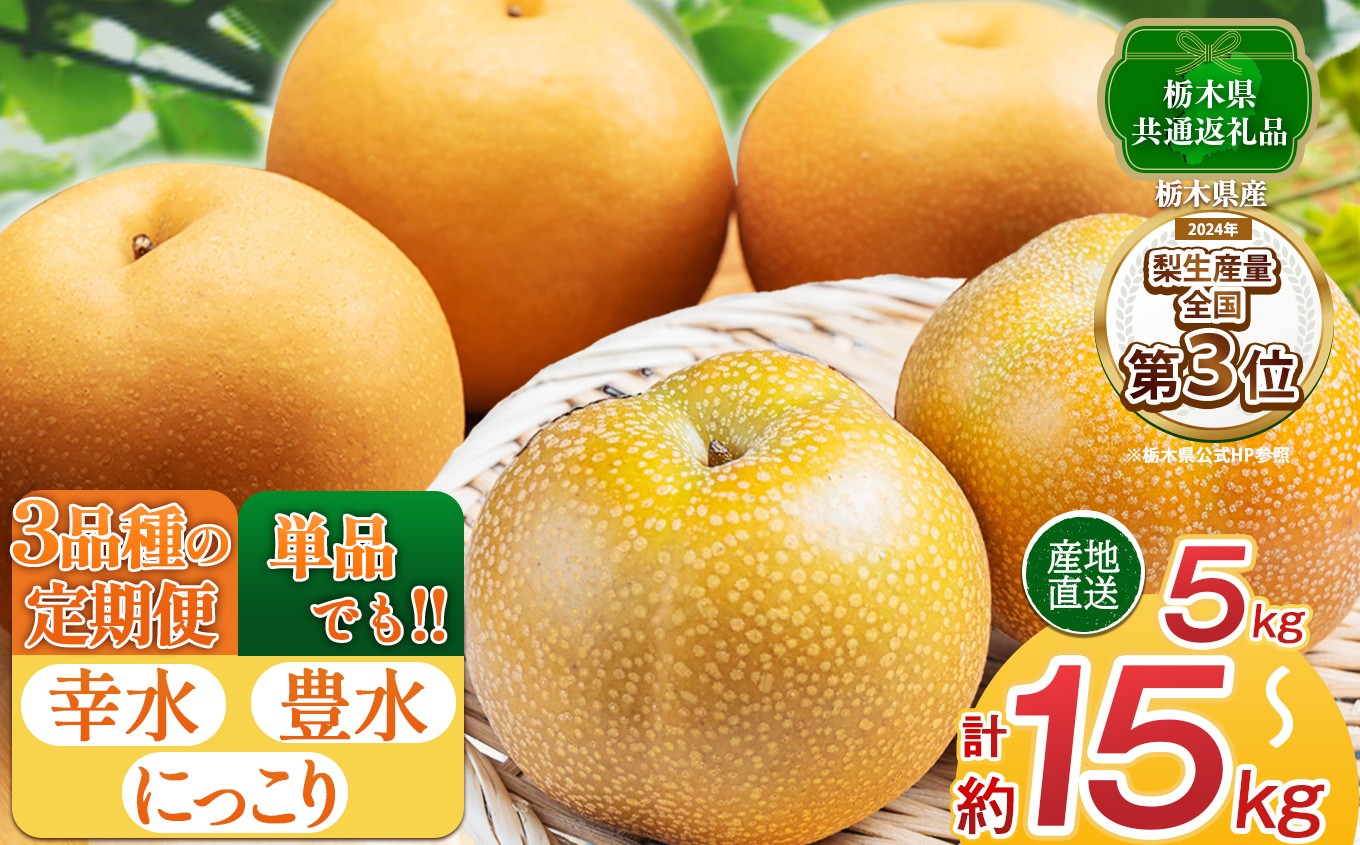 
                  【2026年先行予約】選べる 梨 5kg 品種 単品 or 定期便 3回 | にっこり 幸水 豊水【栃木県共通返礼品】栃木県 下野市
                