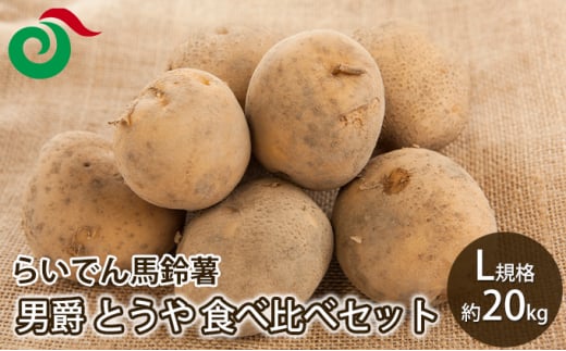 2025年 8月 出荷 先行予約 らいでん 馬鈴薯 食べ比べ 2種 セット 男爵 とうや L 規格 約 20kg じゃがいも 詰合せ イモ 芋 ポテト 北海道 共和町 産地直送 JAきょうわ