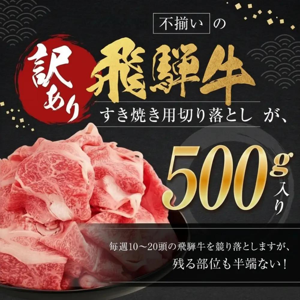 訳あり 飛騨牛切り落とし 500g |  牛肉 牛肉 BV032　FN-Limited-VO