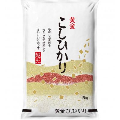ふるさと納税 岡山市 【毎月定期便】【食味鑑定士厳選】岡山県産 コシヒカリ10kg(5kg×2袋)全6回