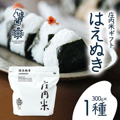 ふるさと納税 庄内町 山形庄内かめこめプロジェクト 庄内米ギフト はえぬき 300g×1袋 令和7年産 2025年産