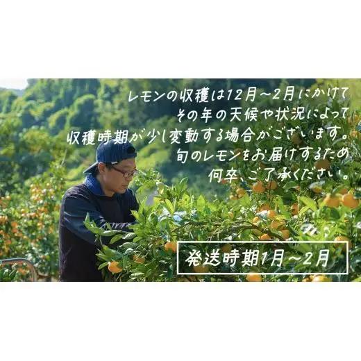 【先行予約】 もぎたてフレッシュ！ せとうちレモン 約3kg (約 20～30個程度) 2027年1月～2月発送 ワックス防腐剤不使用 皮まで丸ごと食べられる