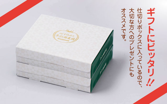 【期間限定】熊本県産 減農薬栽培 トマト ミディトマト 詰め合わせ 30個セット+800g  食べ比べ ギフトセット 産地直送 とまと【矢仁田農園】 [YDE005]