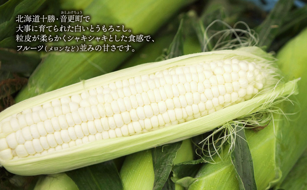 ［先行受付］北海道十勝産 木野シャイニングコーン12本セット【A15】2026年8月中旬頃より順次発送_イメージ2