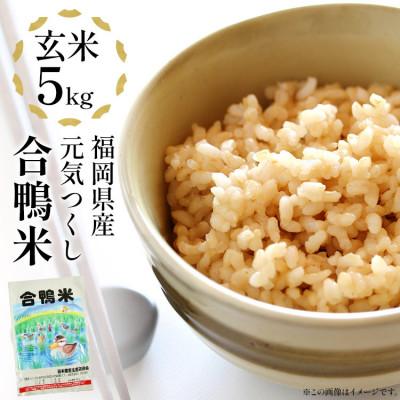ふるさと納税 大木町 【先行予約】 令和8年産 合鴨米「元気つくし」(玄米・5kg) BI09