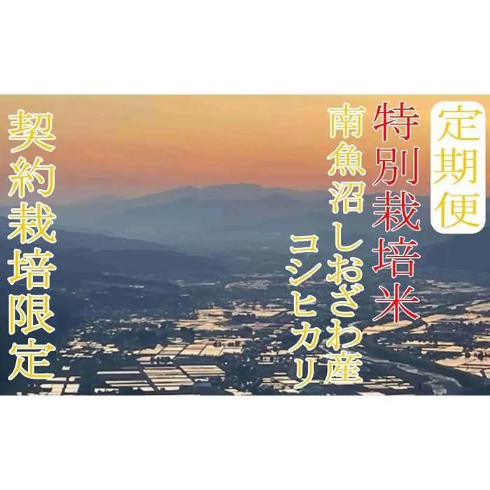【令和7年産】※定期便：10Kg×3ヶ月※特別栽培 生産者限定  南魚沼しおざわ産コシヒカリ【定期便 銘柄米 ブランド米 精米 こしひかり コシヒカリ 魚沼産 新潟米 産地直送 お米 米 こめ コメ 