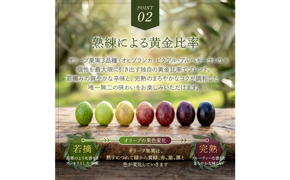 【定期便全6回】オーガニック　エキストラヴァージンオリーブオイル　500ml　2本セット