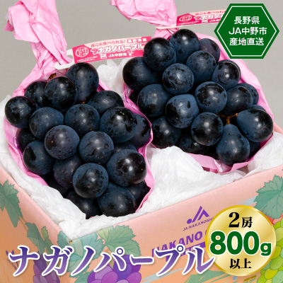 【2026年先行受付】　8月中旬～9月中旬お届けJA中野市産地直送!ナガノパープル2房800g以上【配送不可地域：離島】【1218973】