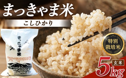 
                  米 令和7年度産【特別栽培米】 石川県産こしひかり 棚田米【玄米】 5kg まっきゃま | 金沢市 お米 こめ 白米 食品 米 コシヒカリ ふるさと納税 米通販 高級米 国産米 ブランド米 日本米 新米 玄米 産地直送 米ギフト 米料理 用途別米 米食文化 米農家 特別栽培米 米品種 米品質 米栽培技術 食感良好米
                