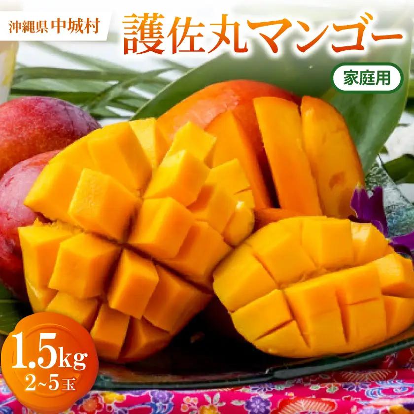 【2027年6月から順次発送・家庭用】護佐丸マンゴー1.5kg(2～5玉)【配送不可地域：離島】【1676051】
