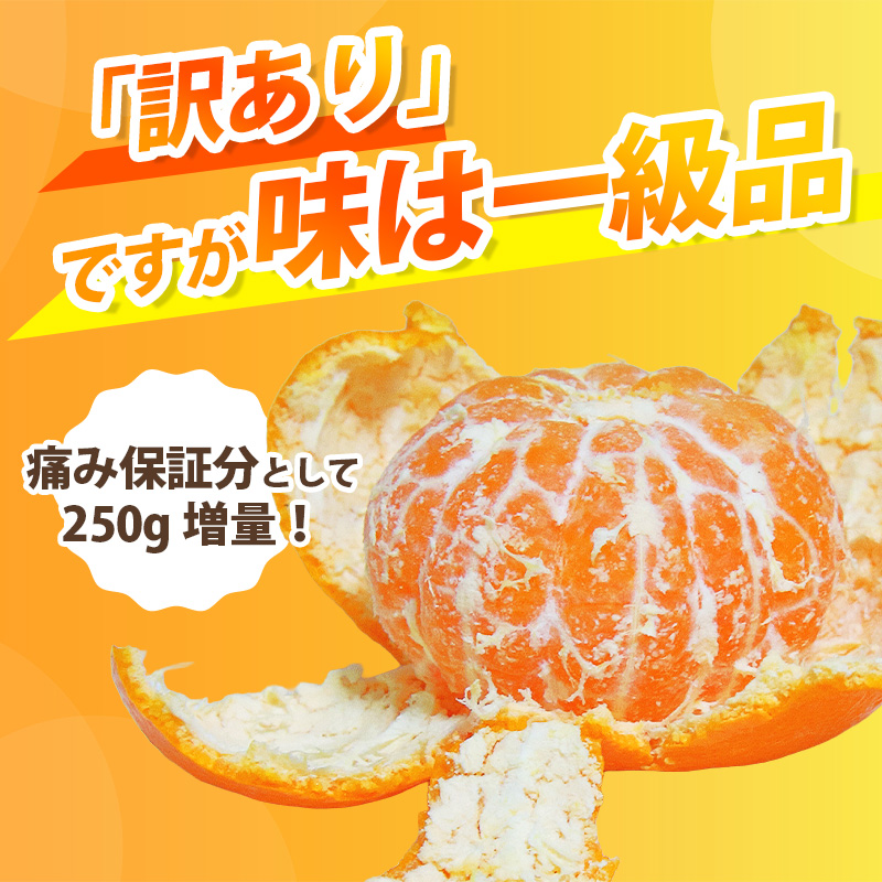 【先行予約】家庭用有田みかんサイズ混合(2S～2L)5kg+250g 11月より発送(完熟)/ みかん ミカン 有田みかん 柑橘 フルーツ 果物 和歌山 オレンジ【ikd007C】 