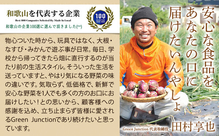 和歌山県産の桃【先行予約】 約1.8kg (5～8玉入り) GREEN JUNCTION株式会社《2026年6月中旬-2026年8月末頃出荷》和歌山県 紀の川市 桃 果物 果実 フルーツ 自然栽培 送