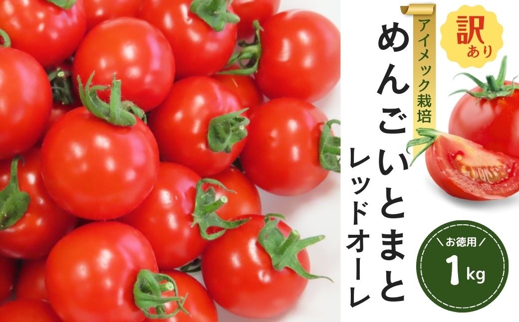 【訳あり】めんごいとまと TYレッドオーレ お徳用 1kg めんごいとまとたむら アイメック栽培 ミニトマト トマト プチトマト 冬トマト 野菜 農家直送 大容量 家庭用 不揃い 小粒 新鮮 福島県 田村市 堀越農園 N057-001