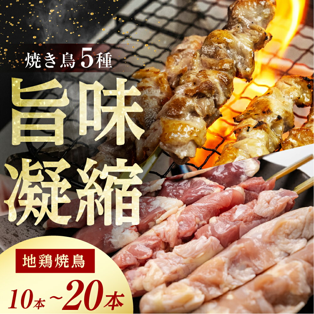 【ふるさと納税】ひだ地鶏 国が認めた本物の地鶏 鶏肉 飛騨地鶏 焼き鳥 10本セット 20本 部位5種類 もも 皮 ふりそで ぼんじり せせり 希少部位 稀少部位 食べ比べ 一人暮らし 1人用 1人分 2人用 2人分 8000円 飛騨市 日本農林規格JAS認定[Q294_u]