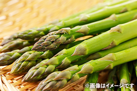 【ふるなび限定】【朝採新鮮】スナックアスパラガス 1.0kg（6月～10月に順次発送） FN-Limited CC06