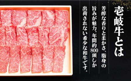 【全6回定期便】壱岐牛と旬の野菜定期便《壱岐市》【壱岐市農業協同組合】 [JBO078] 壱岐牛 肉 黒毛和牛 野菜 旬 詰め合わせ 贅沢 BBQ 152000 152000円  コダワリ牛肉・野菜 