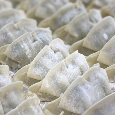 ふるさと納税 大牟田市 福岡エンジェル餃子の5種食べ比べセット+お試しタレ3種 |  | 02