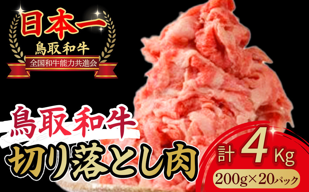 
                  鳥取和牛 切り落とし 4kg(約200g×20) 肉 牛肉 国産 切り落とし 小分け 和牛 黒毛和牛 ブランド牛 国産 鳥取県 倉吉市
                